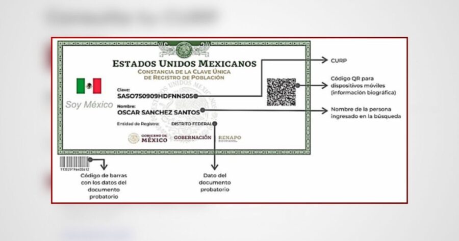 Descubre Cómo Obtener Tu CURP en Línea Fácil y Gratis