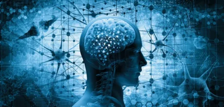 Brain mysteries: unraveling the mind’s hidden secrets