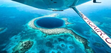 Discover incredible facts you probably never knew today